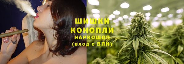 шишки Няндома