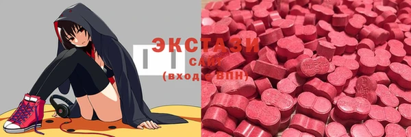 шишки Няндома