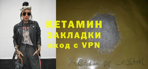 шишки Няндома