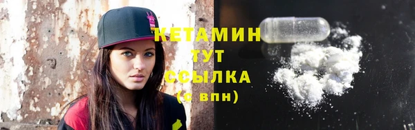 шишки Няндома