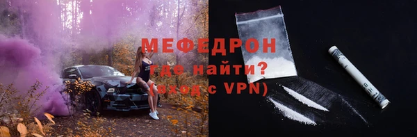 шишки Няндома