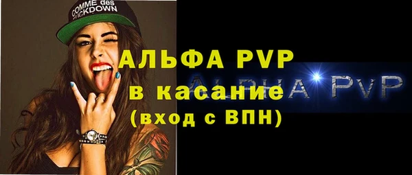шишки Няндома