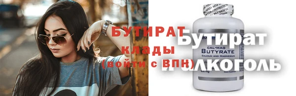 шишки Няндома