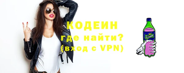 шишки Няндома