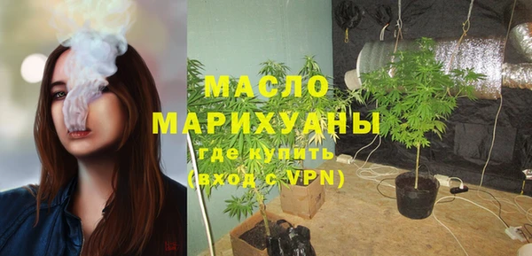 шишки Няндома