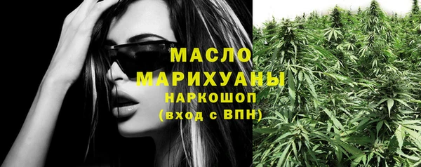шишки Няндома