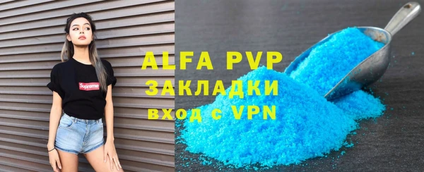 шишки Няндома