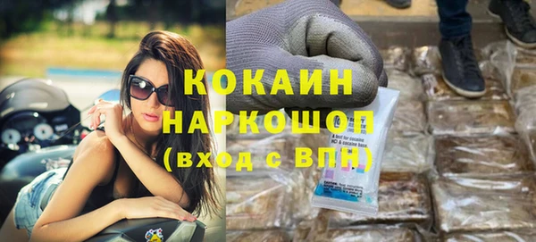 шишки Няндома