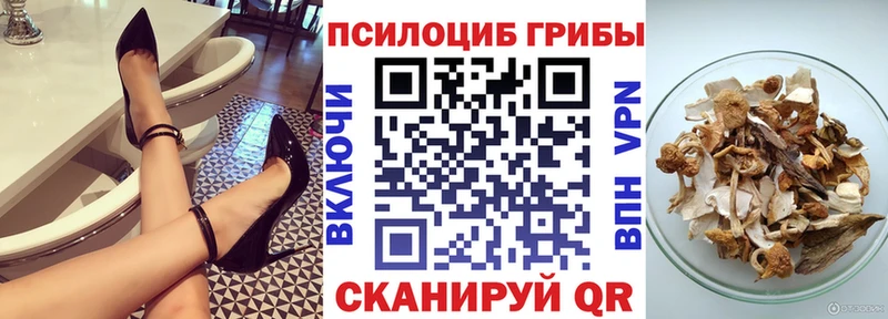 Галлюциногенные грибы Magic Shrooms  цена   Котельники 