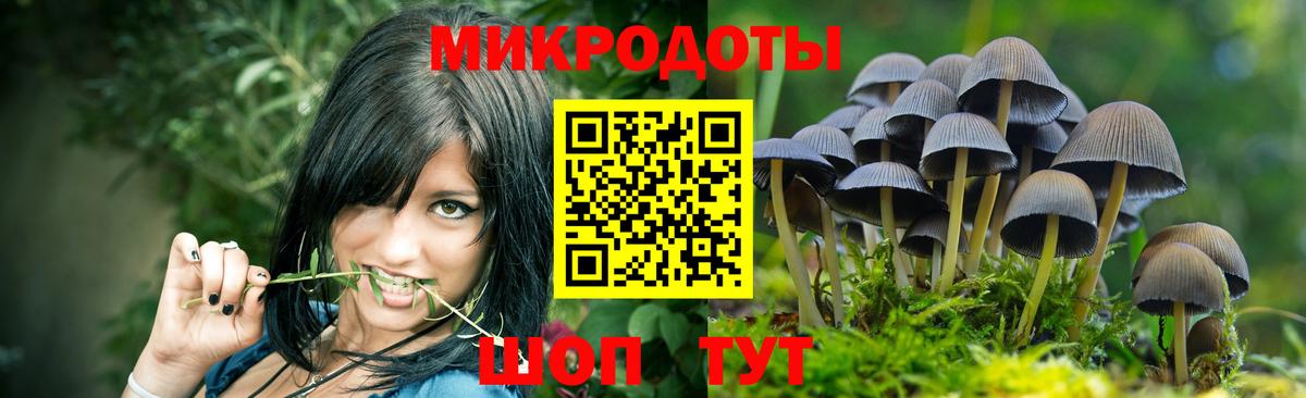 Псилоцибиновые грибы GOLDEN TEACHER Котельники